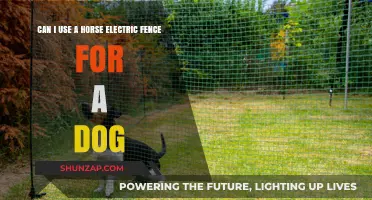 Using Horse Electric Fences for Dogs: Safety and Practicality Explored