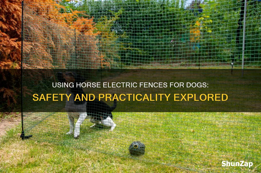 can i use a horse electric fence for a dog