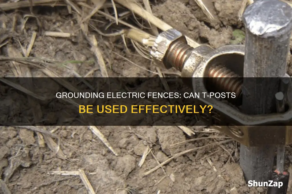can i use a t-post to ground an electric fence