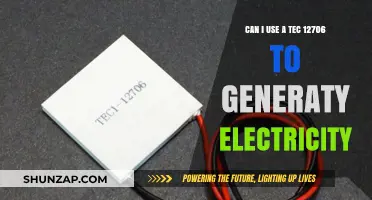 Using TEC 12706 for Electricity Generation: Is It Possible?