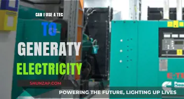 Using TECs for Electricity Generation: A Viable Green Energy Solution?