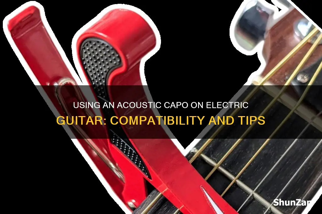 can i use acoustic capo on electric