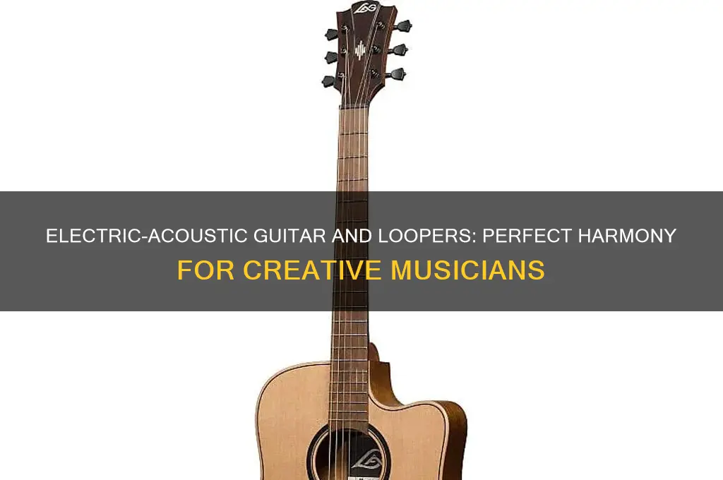 can i use an electric acoustic guitar with a looper