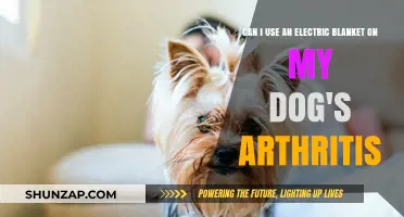 Electric Blankets for Dogs: Safe Arthritis Relief or Risk?