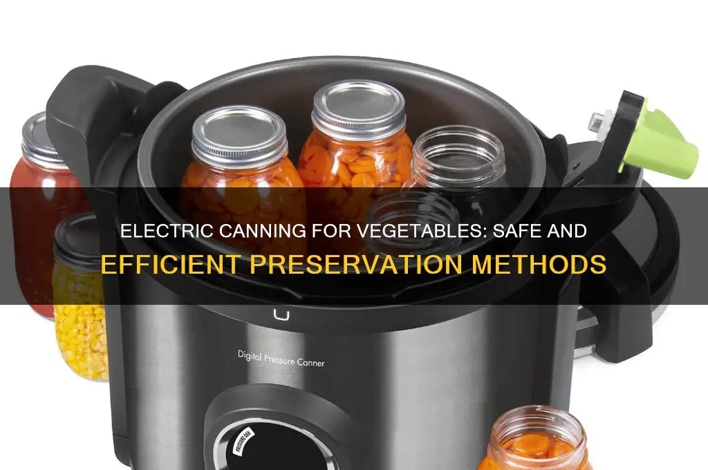 can i use an electric canner to can vegetables