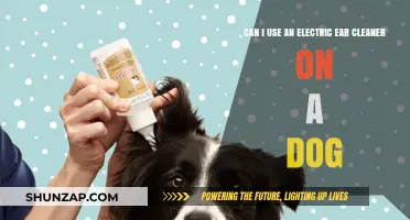 Using Electric Ear Cleaners on Dogs: Safe or Risky?