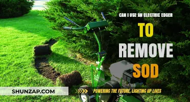 Electric Edger for Sod Removal: Effective Tool or Not?