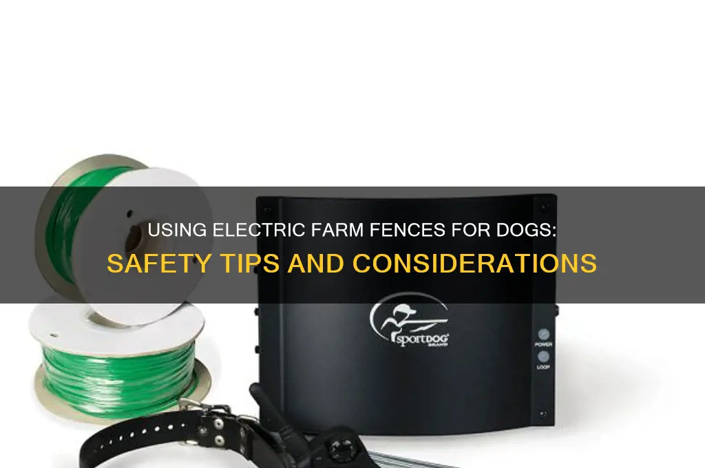 can i use an electric farm fence for a dog