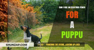 Using Electric Fences for Puppies: Safety Tips and Considerations