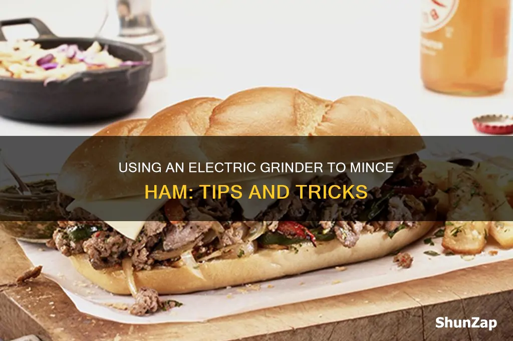 can i use an electric grinder to mince ham
