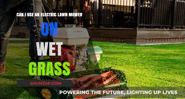 Using Electric Lawn Mowers on Wet Grass: Risks and Best Practices