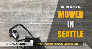 Electric Mowers in Seattle: A Practical Guide for Local Lawn Care