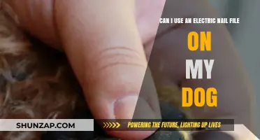 Using Electric Nail Files on Dogs: Safe or Risky Grooming Choice?