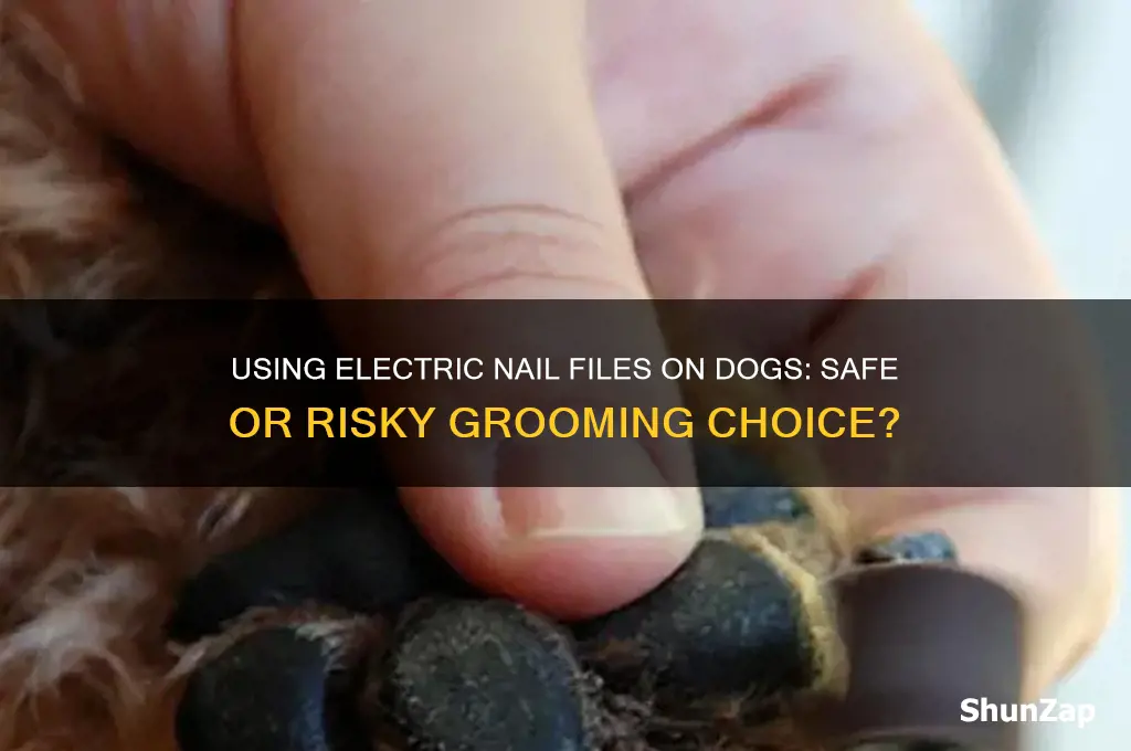 can i use an electric nail file on my dog