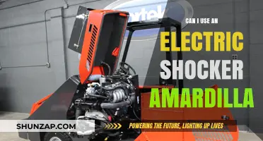 Using Electric Shockers for Armadillos: Safety, Legality, and Alternatives