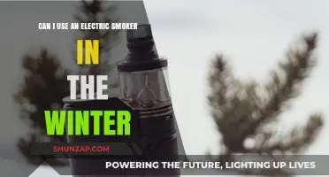Winter Smoking: Tips for Using Electric Smokers in Cold Weather