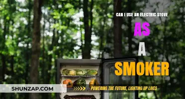 Using an Electric Stove as a Smoker: Creative Cooking Tips