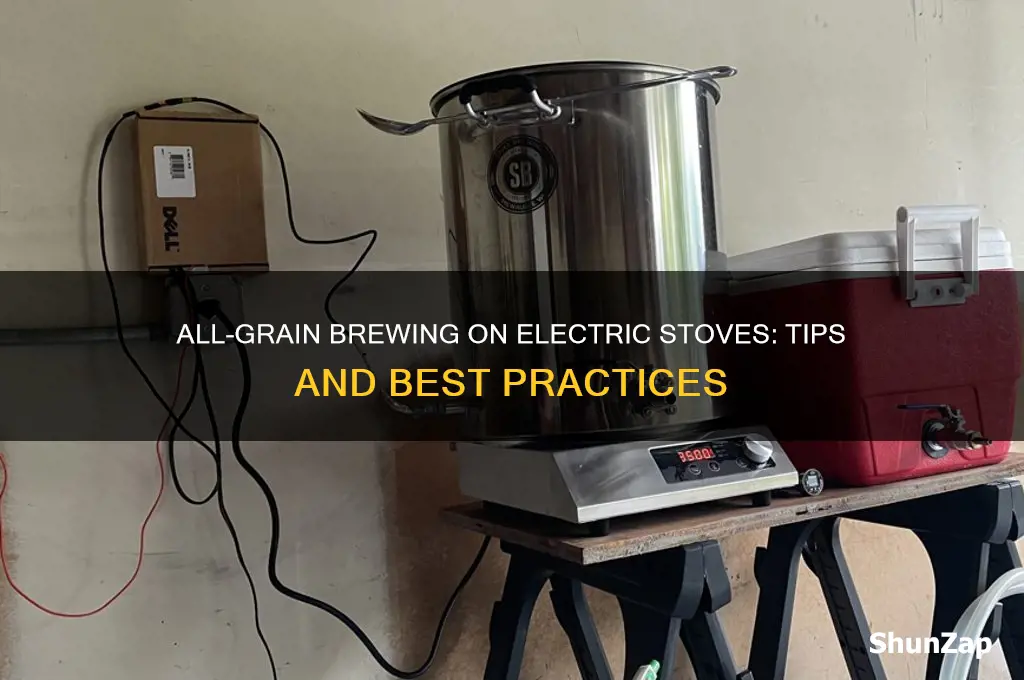 can i use an electric stove for all grain