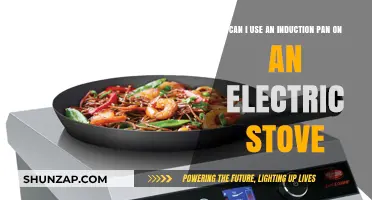 Induction Pans on Electric Stoves: Compatibility and Cooking Tips