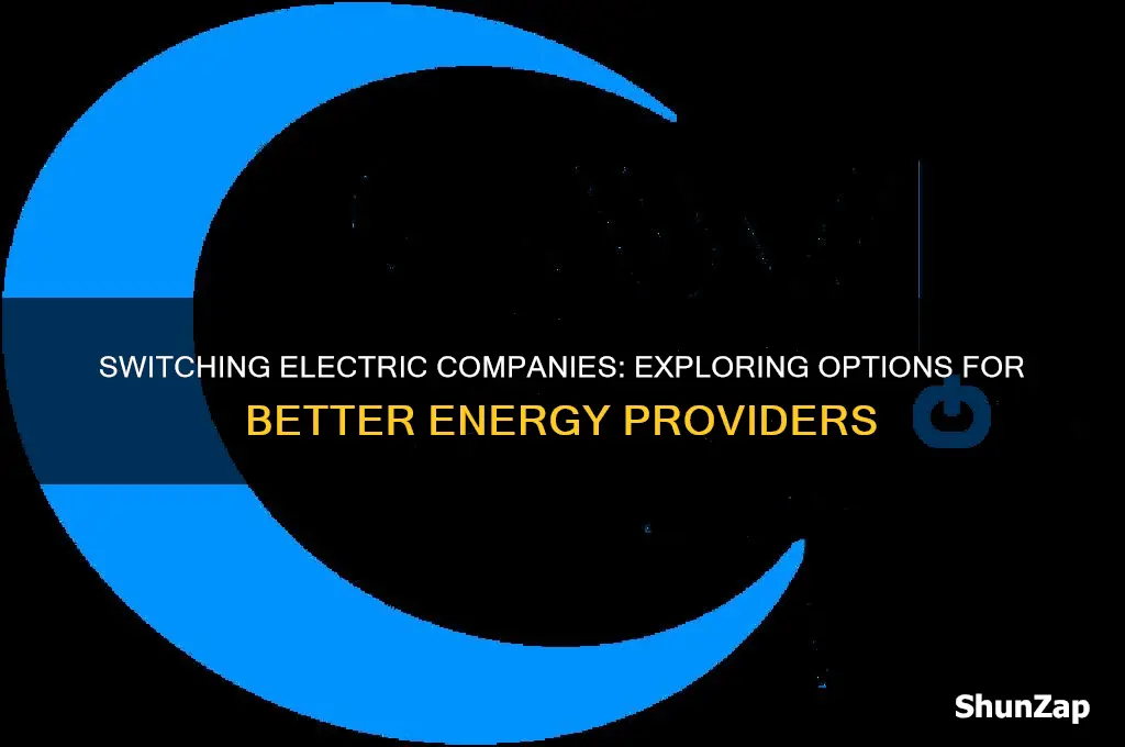 can i use another electric company