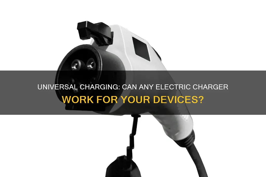 can i use any electric charger