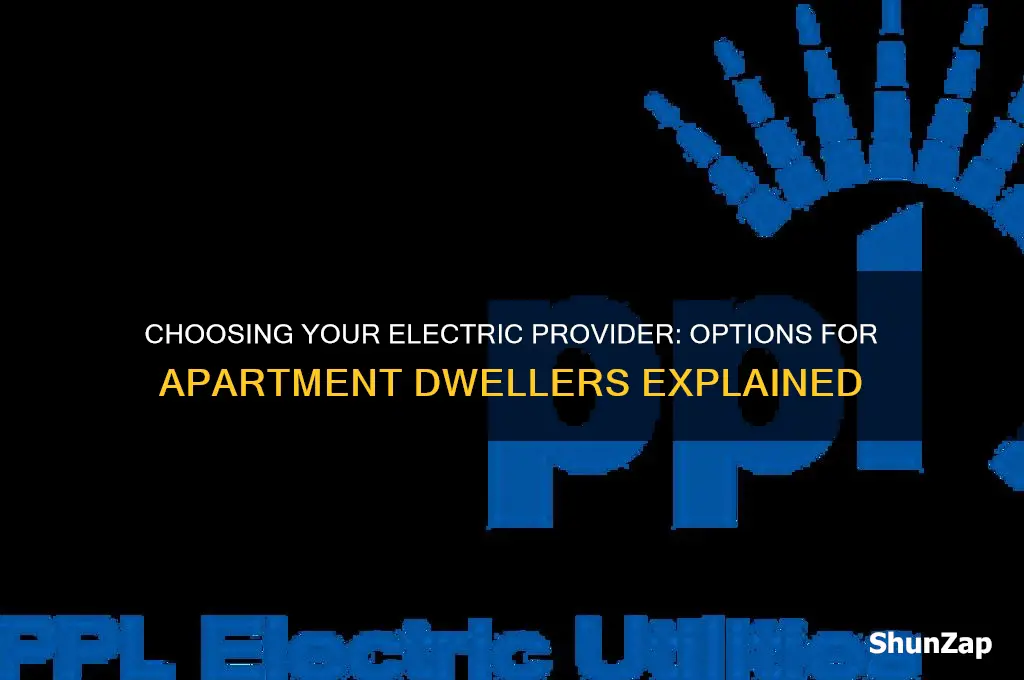 can i use any electric company in apartment
