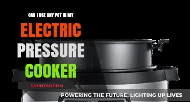 Using Any Pot in Your Electric Pressure Cooker: Safe or Risky?