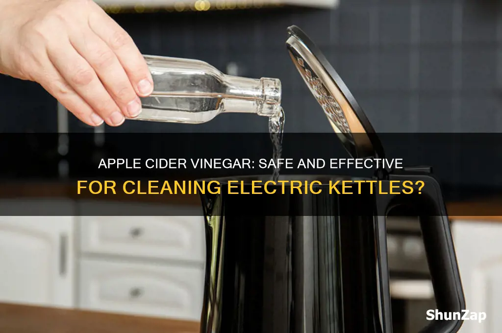 can i use apple cider vinegar to clean electric kettle