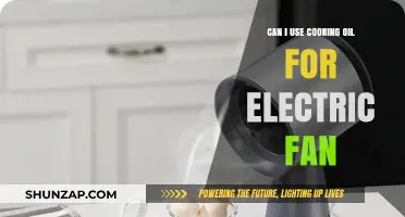 Using Cooking Oil for Electric Fans: Safe or Risky Maintenance Hack?