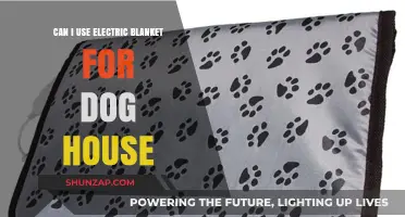Electric Blankets for Dog Houses: Safe or Risky Comfort?