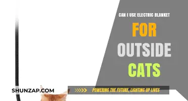 Safe Outdoor Cat Care: Using Electric Blankets for Feral Felines