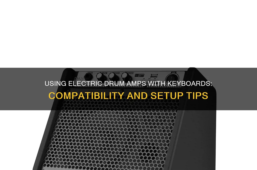 can i use electric drum amp with keyboard