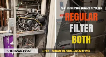 Electric Furnace Filter vs. Regular Filter: Can You Use Both?