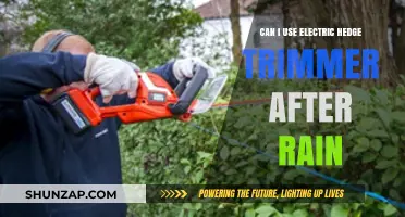 Using Electric Hedge Trimmers Safely After Rain: Tips and Precautions