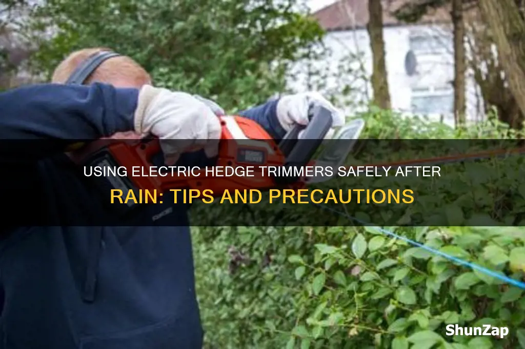 can i use electric hedge trimmer after rain