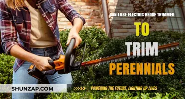 Using Electric Hedge Trimmers for Perennial Pruning: Safe or Risky?