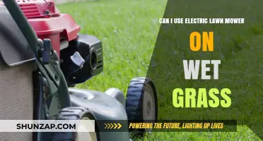 Using Electric Lawn Mowers on Wet Grass: Risks and Best Practices
