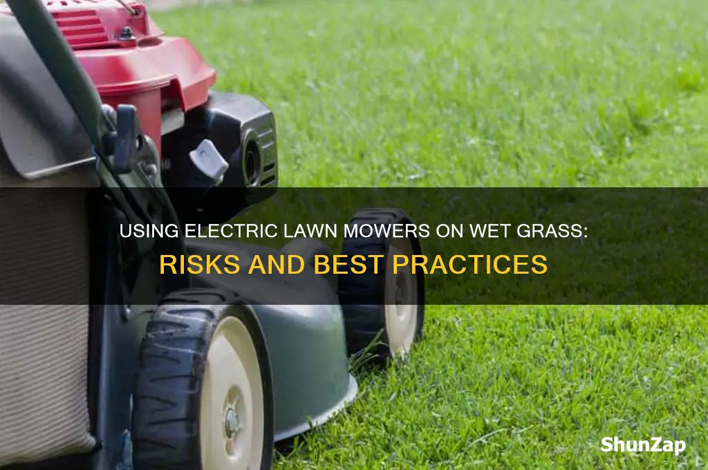 can i use electric lawn mower on wet grass