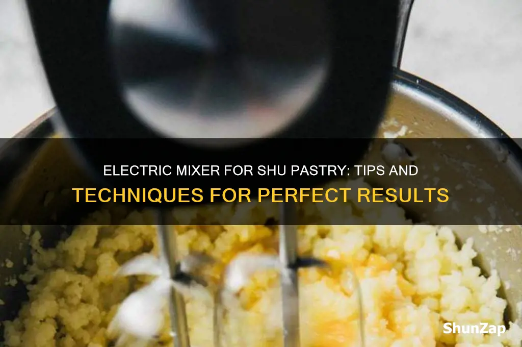 can i use electric mixer for shu pastry