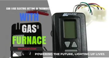 Electric Setting on Thermostat: Compatible with Gas Furnace Systems?