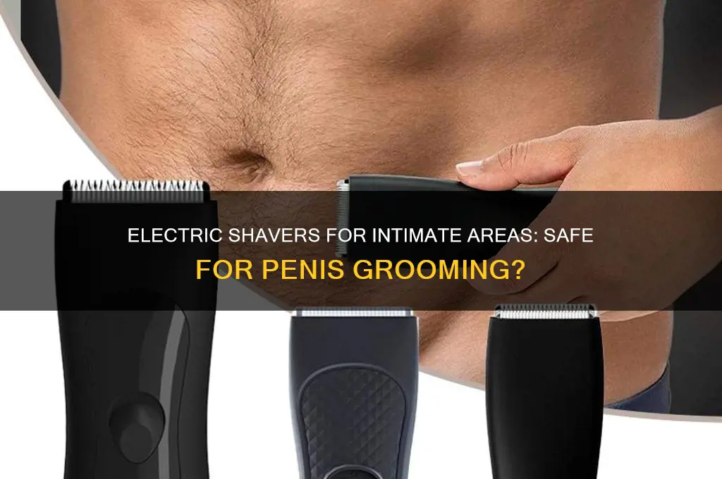 can i use electric shaver on penis