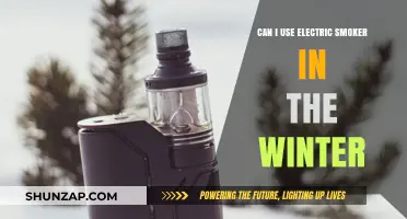 Winter Smoking: Using Electric Smokers in Cold Weather