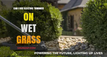 Using Electric Trimmers on Wet Grass: Safe or Risky?