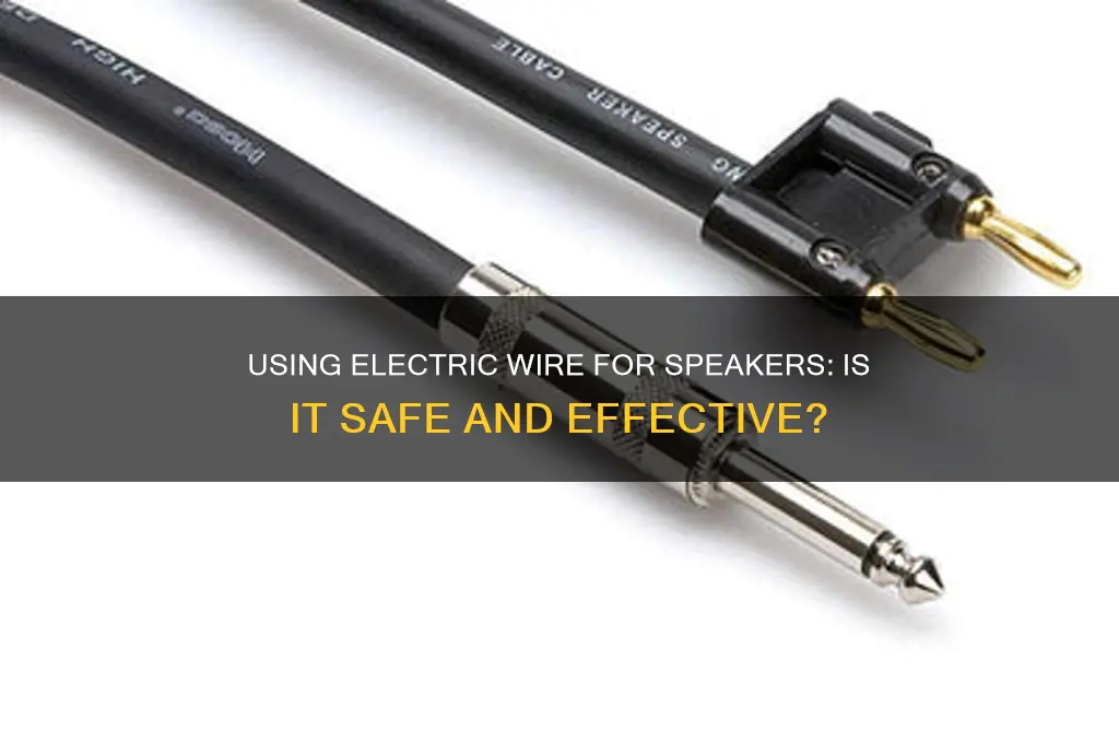 can i use electric wire for speakers
