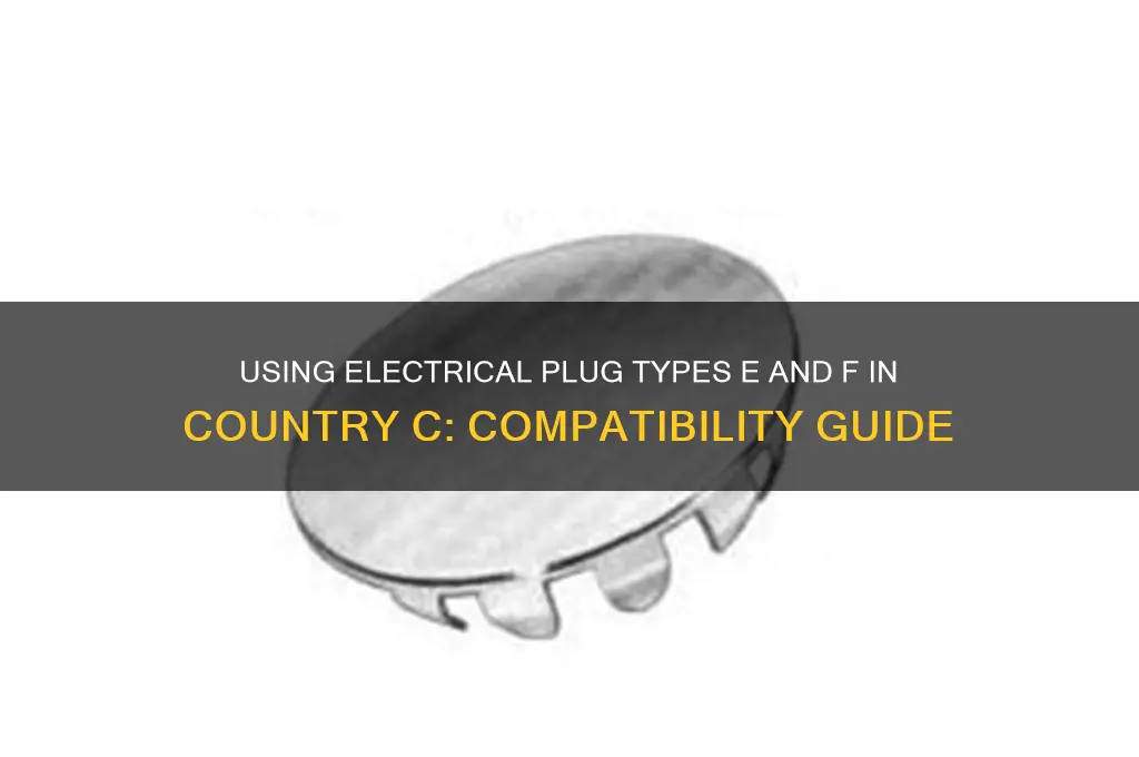 can i use electrical plug e f in c