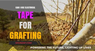 Electrical Tape for Grafting: A Viable Alternative or Risky Choice?