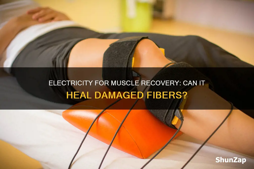 can i use electricity to heal muscle fibers