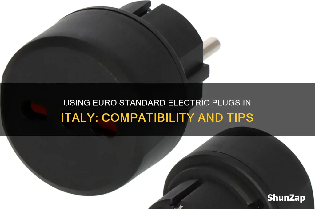 can i use euro standard electric plug in italy