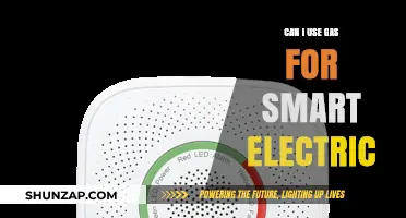 Using Gas to Power Smart Electric Devices: Feasibility and Insights