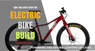 GTM FT200 for Electric Bike Builds: Is It the Right Choice?